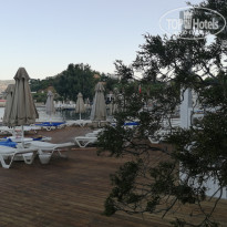 фото из отзыва ID 2152445