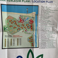 фото из отзыва ID 2152524