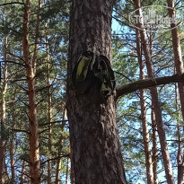 фото из отзыва ID 2152829