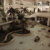 фото из отзыва ID 2151717