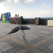 фото из отзыва ID 2153016