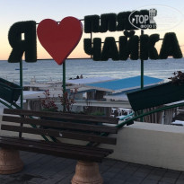 фото из отзыва ID 2153016