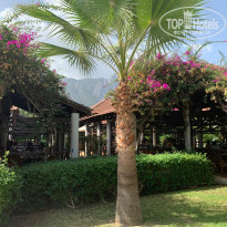 фото из отзыва ID 2153109