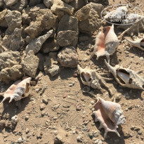 фото из отзыва ID 2153180