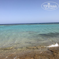 фото из отзыва ID 2153180