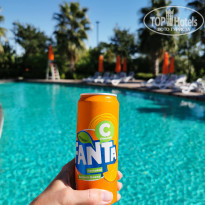 фото из отзыва ID 2153443