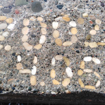 фото из отзыва ID 2153428