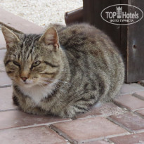 фото из отзыва ID 2153442