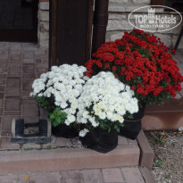 фото из отзыва ID 2153442