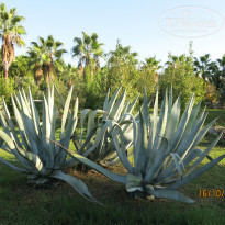 фото из отзыва ID 2153509