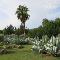 фото из отзыва ID 2153509