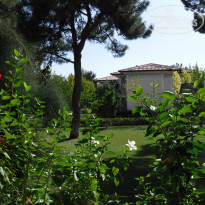 фото из отзыва ID 2153519