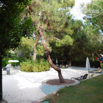 фото из отзыва ID 2153519