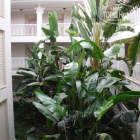 фото из отзыва ID 2153519