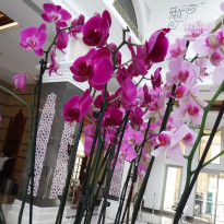 фото из отзыва ID 2153519