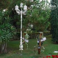 фото из отзыва ID 2153519