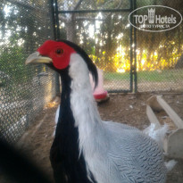 фото из отзыва ID 2153509