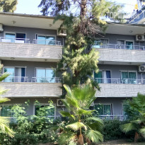 фото из отзыва ID 2153619