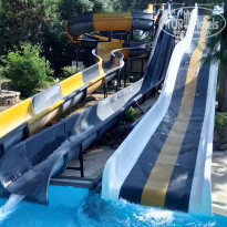 фото из отзыва ID 2153619