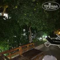 фото из отзыва ID 2153591