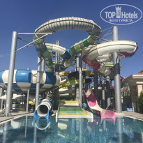 фото из отзыва ID 2153875