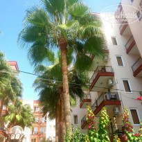 фото из отзыва ID 2153878