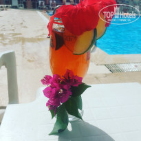 фото из отзыва ID 2153878