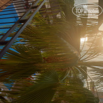 фото из отзыва ID 2153878