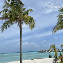 фото из отзыва ID 2153989