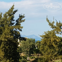 фото из отзыва ID 2154055