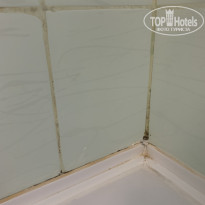 фото из отзыва ID 2154085