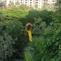 фото из отзыва ID 2154101