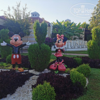 фото из отзыва ID 2154194