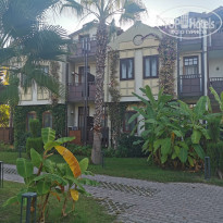 фото из отзыва ID 2154194