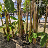 фото из отзыва ID 2154324