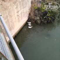 фото из отзыва ID 2154324