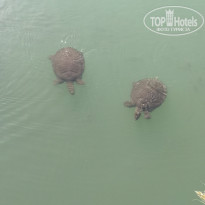 фото из отзыва ID 2154324