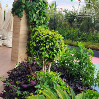 фото из отзыва ID 2154417