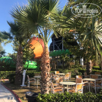 фото из отзыва ID 2154462