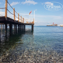 фото из отзыва ID 2154500