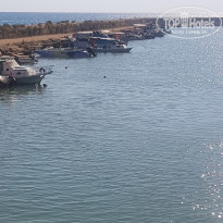 фото из отзыва ID 2154509