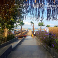 фото из отзыва ID 2154500