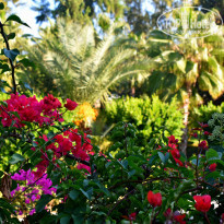 фото из отзыва ID 2154662