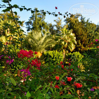 фото из отзыва ID 2154662