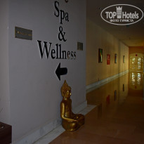 фото из отзыва ID 2154662