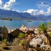 фото из отзыва ID 2154662