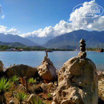 фото из отзыва ID 2154662