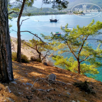 фото из отзыва ID 2154662