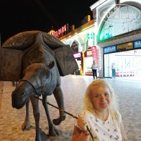 фото из отзыва ID 2154729