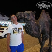 фото из отзыва ID 2154729